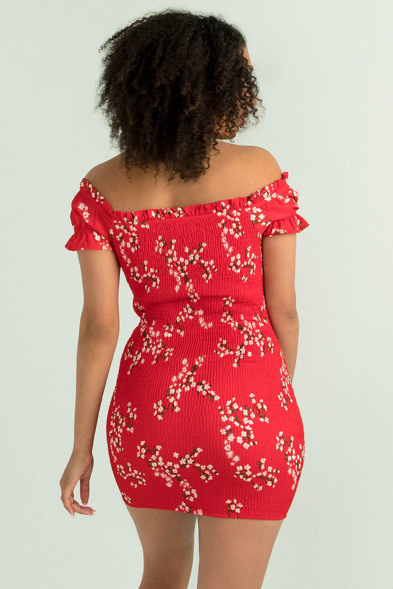 Belle Dress / Red Floral