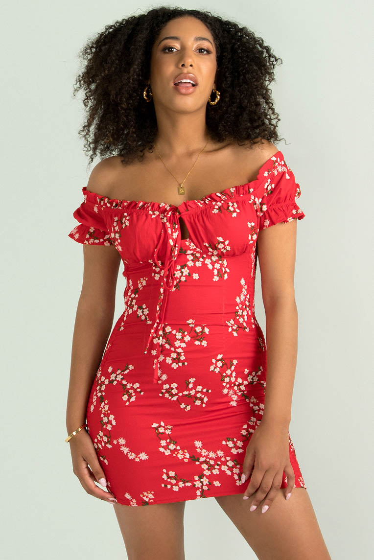 Belle Dress / Red Floral